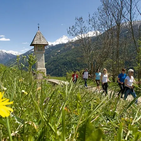 招待所 玫瑰宾馆膳食公寓 维京