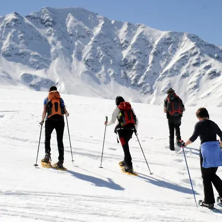 玫瑰宾馆膳食公寓 3* 维京