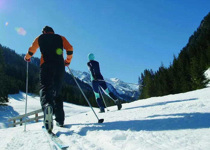 Rose 3* Фирген