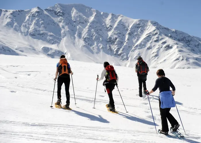 Rose 3* Фирген