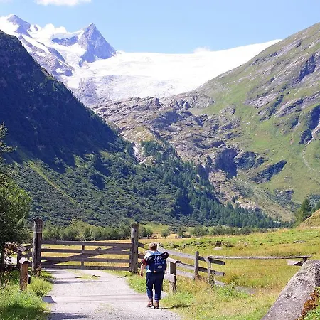 بيت ضيافة Rose